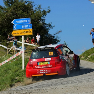 51° RALLY FRIULI VENEZIA GIULIA - Gallery 12