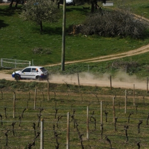 17° RALLY VERMENTINO - Gallery 14